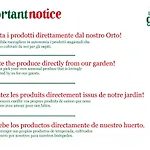 L'orto Di Grace Dom wakacyjny Półwysep Sorrentyński